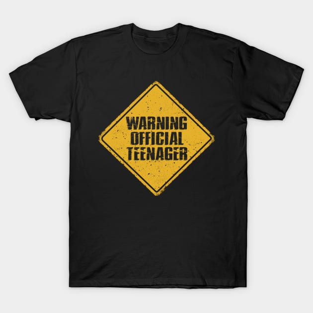 Warning Official Teenager 13th Birthday Gift T-Shirt by paola.illustrations